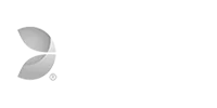 Evolution Logo